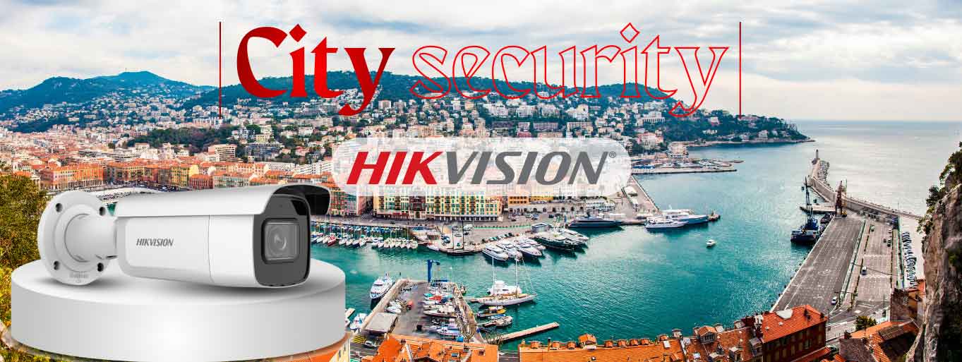 هایک ویژن جدید 