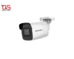 دوربین مداربسته تحت شبکه هایک ویژن مدل DS-2CD2021G1-I